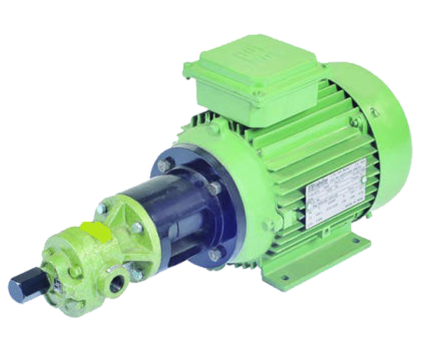 Flange Mounting Rotary Gear Pump